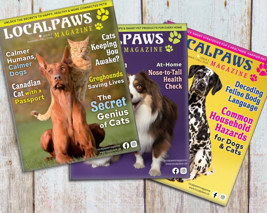 pet themed magazine designs